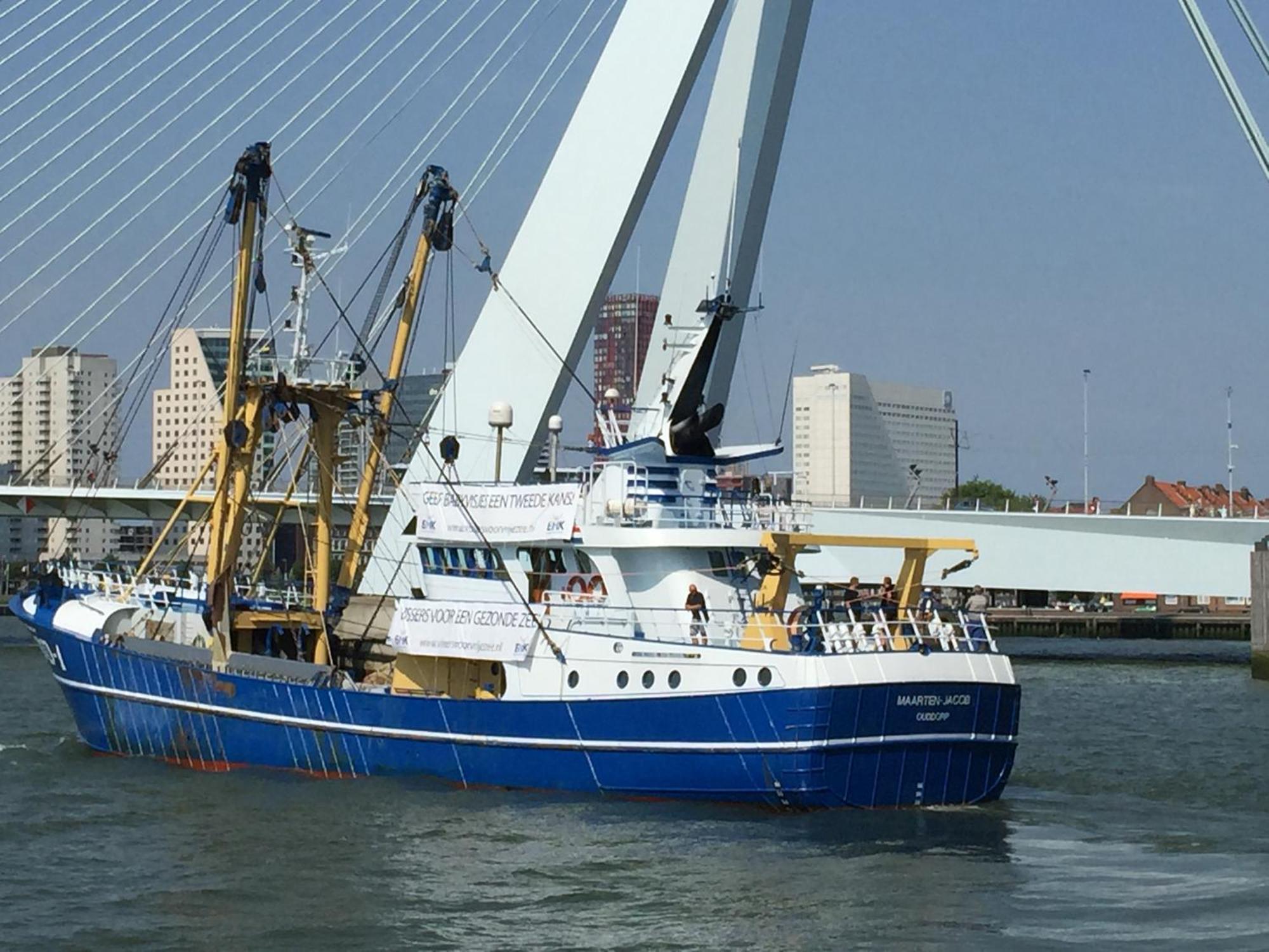 B&B Prive Tiny House Bij Zee Stellendam Exterior foto